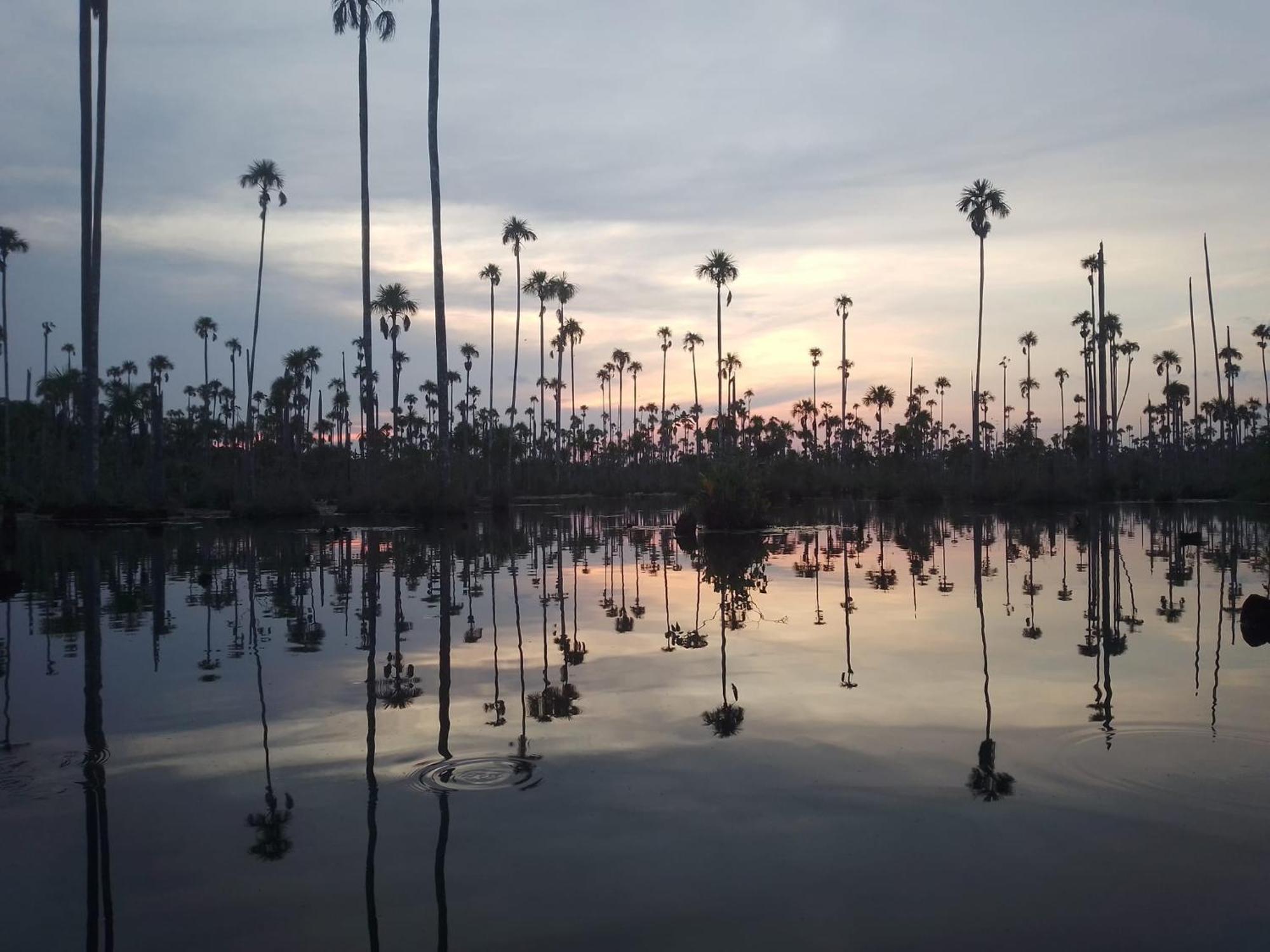 푸에르토말도나도 Castana Amazon Park 호스텔 외부 사진